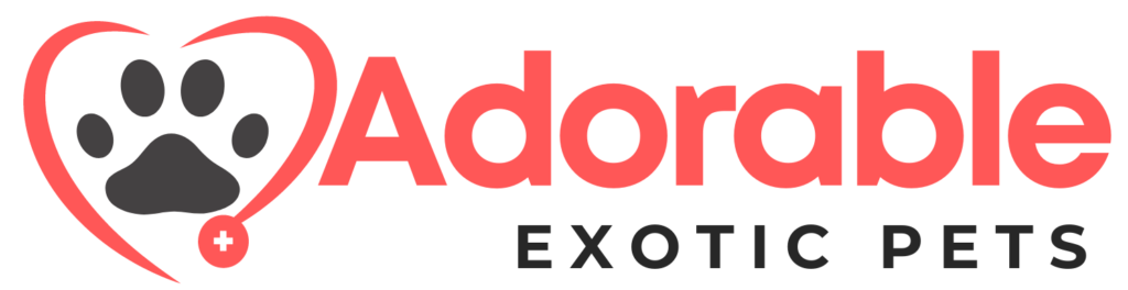 Adorable pets | Exotic pets for sale